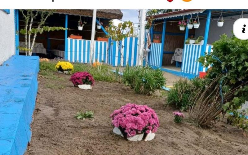 Imagine WhatsApp 2025-05-13 la 21.38.53_b20d172d